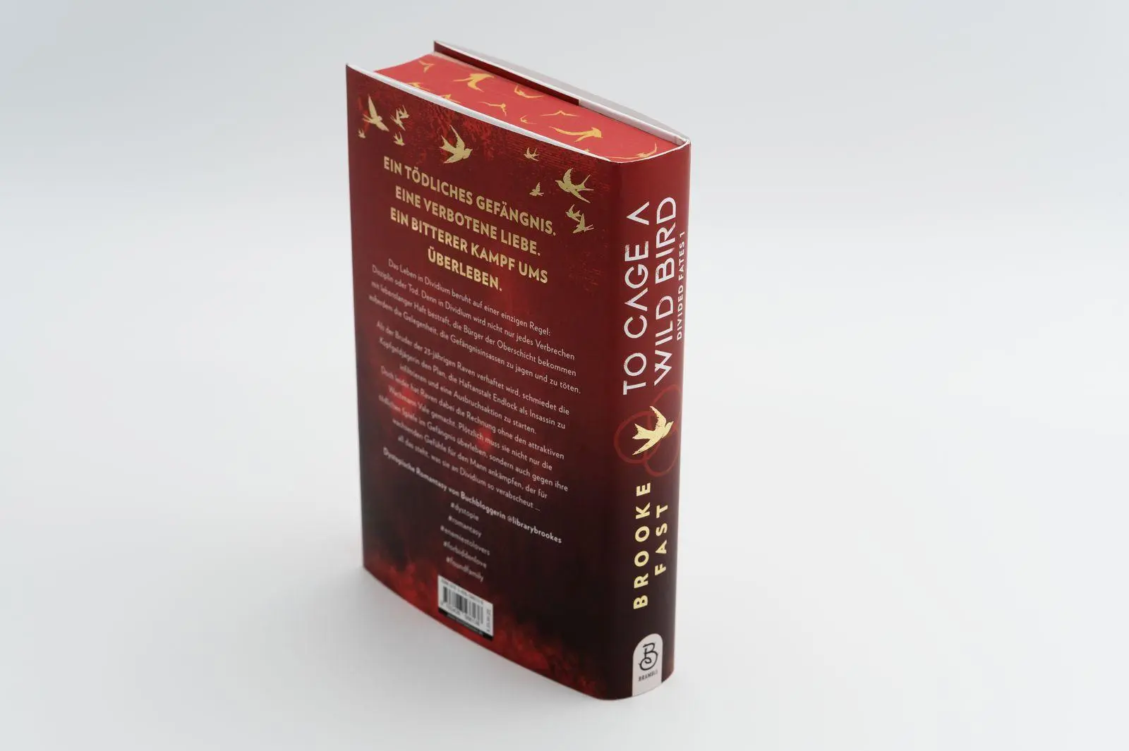 Bild: 9783426566138 | To Cage a Wild Bird | Brooke Fast | Buch | Divided Fates | 448 S.