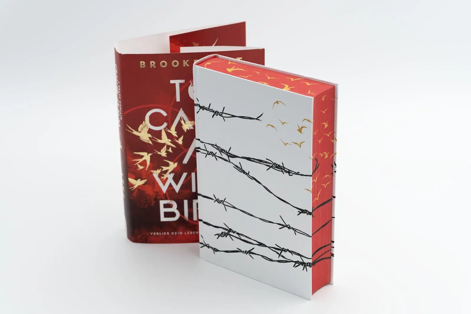 Bild: 9783426566138 | To Cage a Wild Bird | Brooke Fast | Buch | Divided Fates | 448 S.