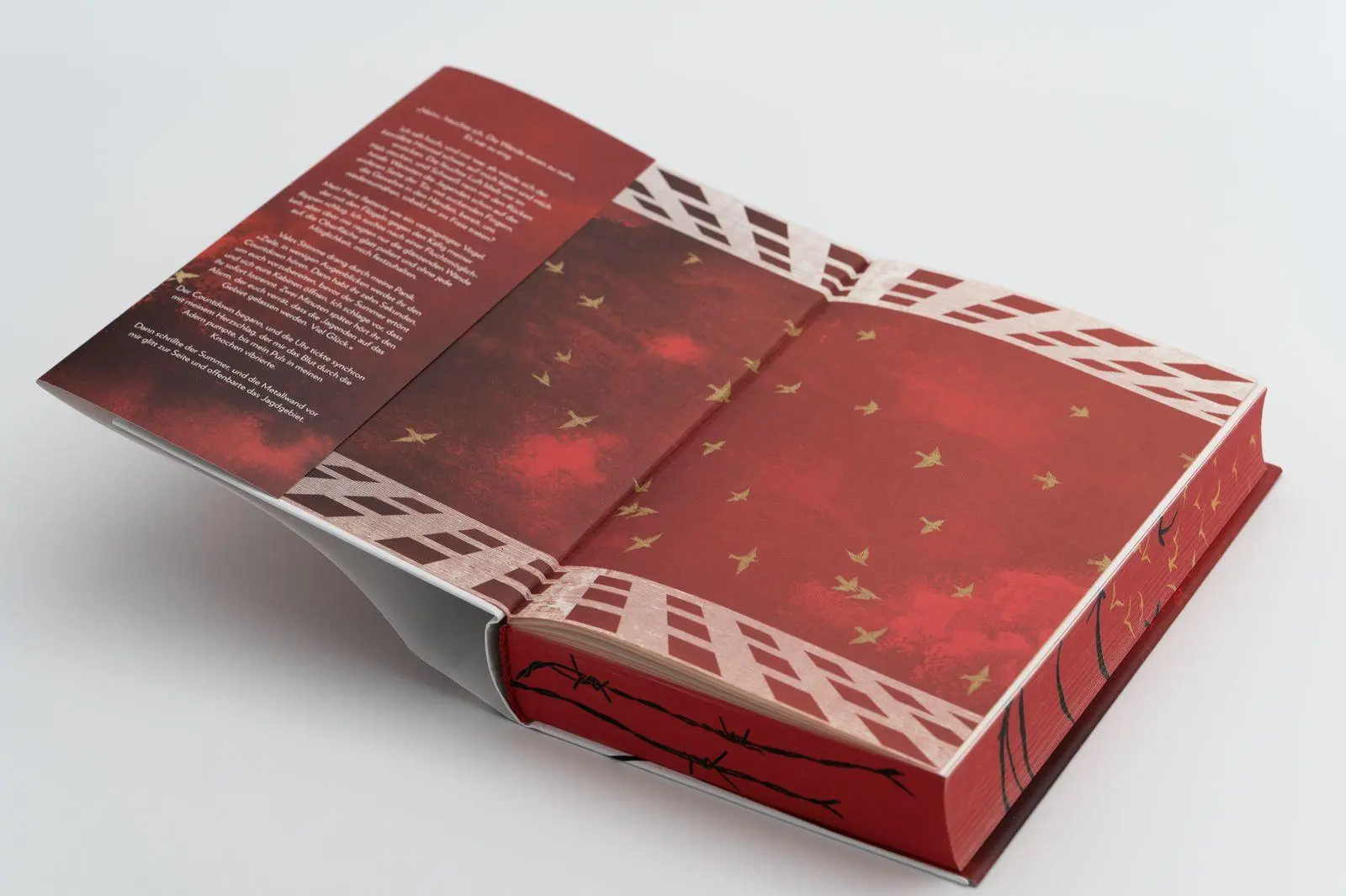 Bild: 9783426566138 | To Cage a Wild Bird | Brooke Fast | Buch | Divided Fates | 448 S.