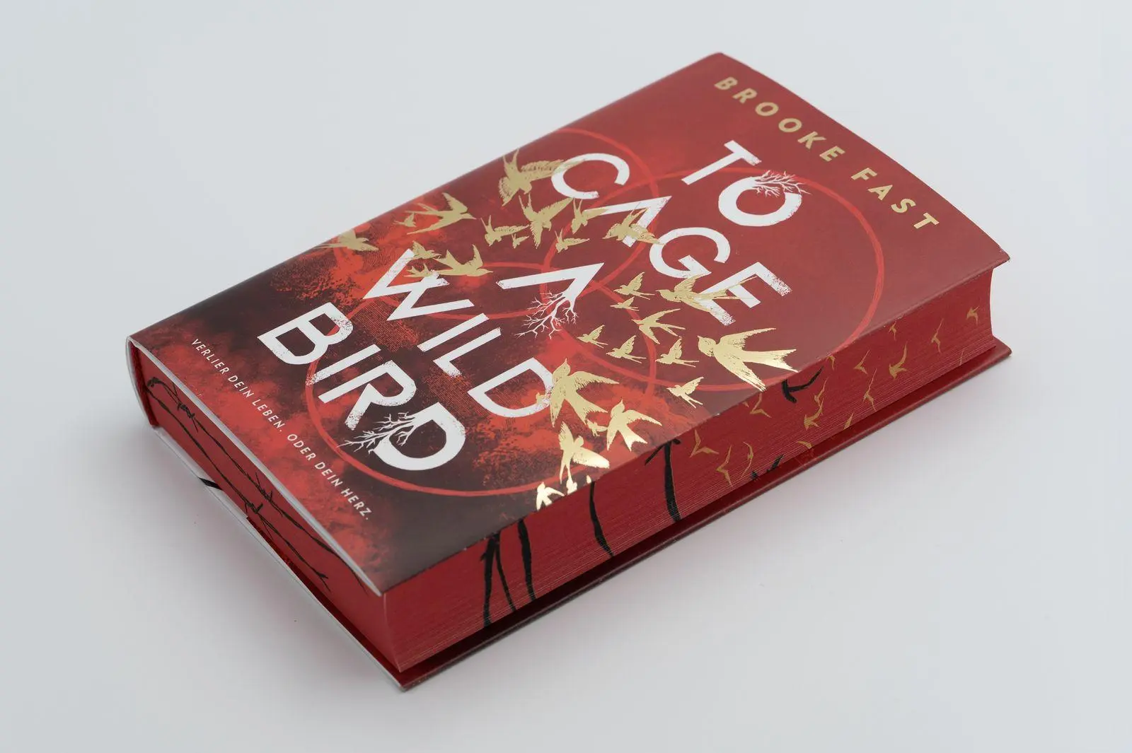 Bild: 9783426566138 | To Cage a Wild Bird | Brooke Fast | Buch | Divided Fates | 448 S.