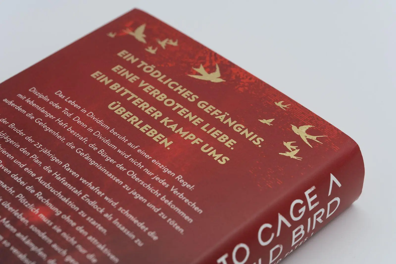 Bild: 9783426566138 | To Cage a Wild Bird | Brooke Fast | Buch | Divided Fates | 448 S.