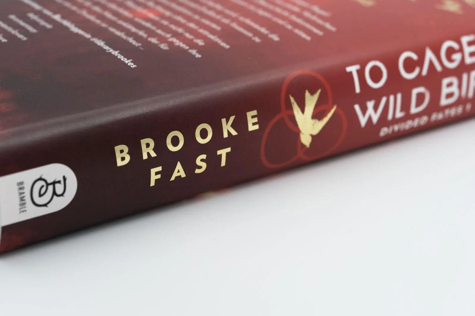 Bild: 9783426566138 | To Cage a Wild Bird | Brooke Fast | Buch | Divided Fates | 448 S.