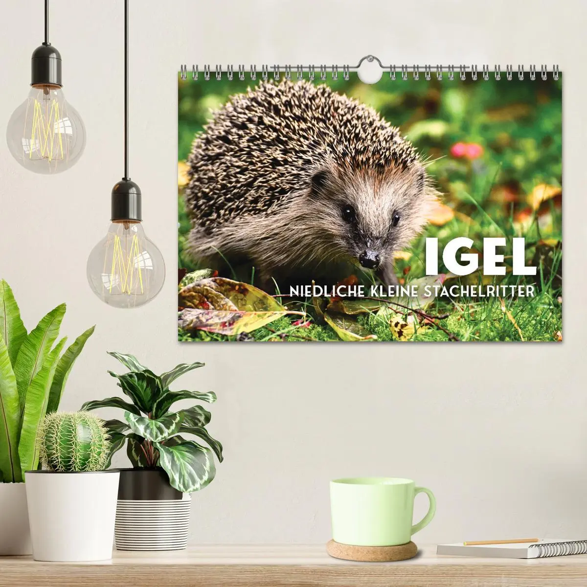 Bild: 9783457566138 | Igel - Niedliche kleine Stachelritter (Wandkalender 2026 DIN A4...