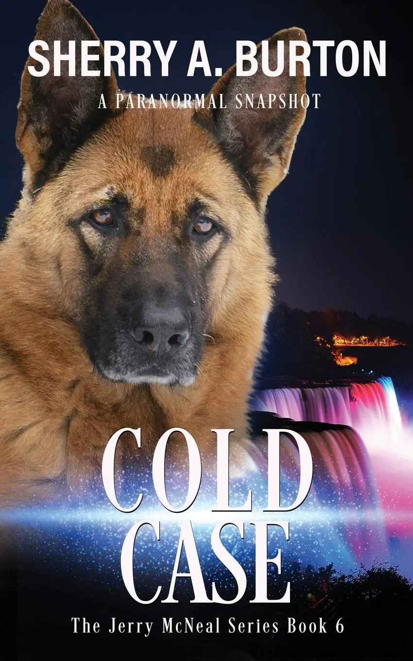Cover: 9781951386238 | Cold Case | Sherry A. Burton | Taschenbuch | Kartoniert / Broschiert