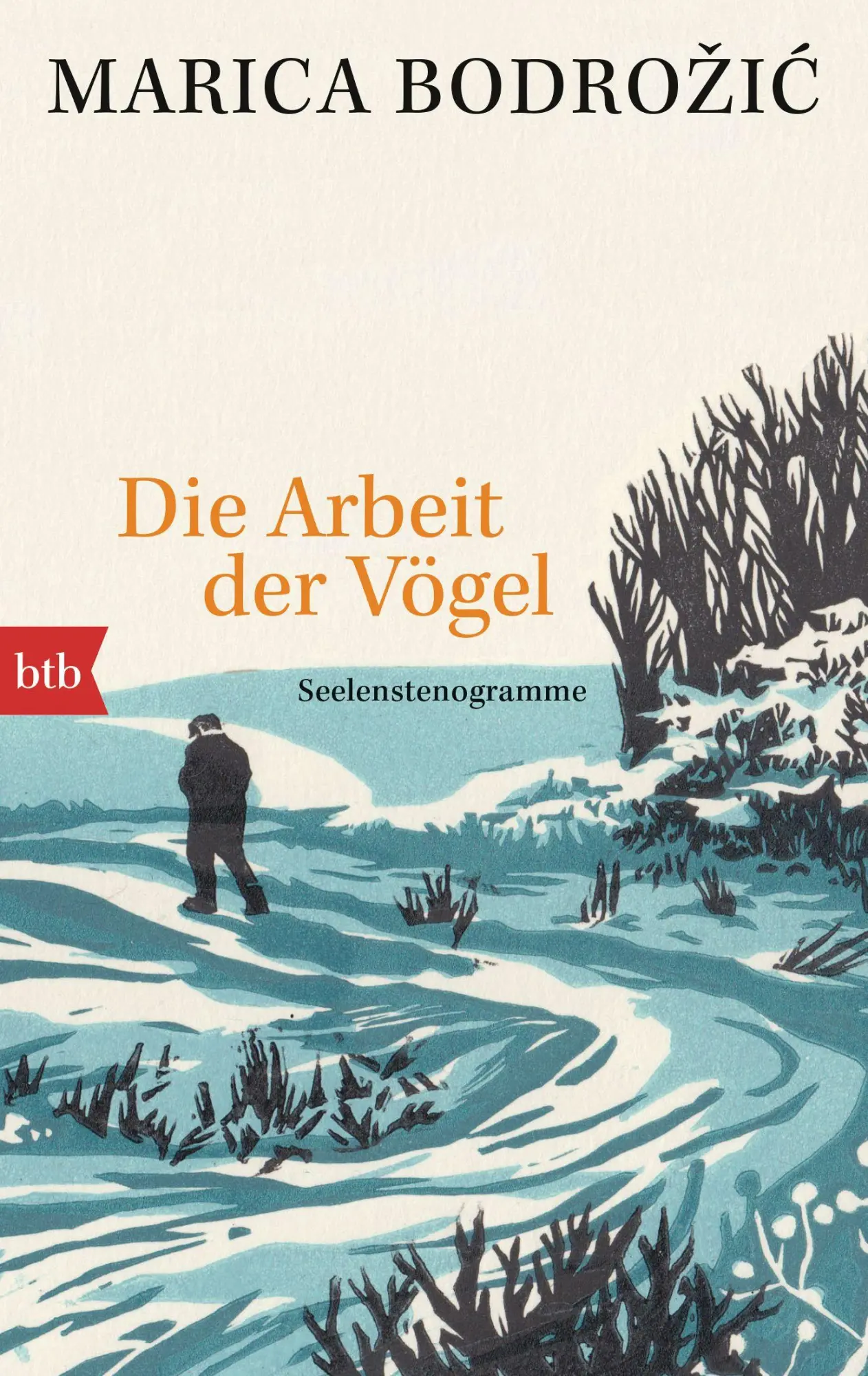 Cover: 9783442776238 | Die Arbeit der Vögel | Seelenstenogramme | Marica Bodrozic | Buch