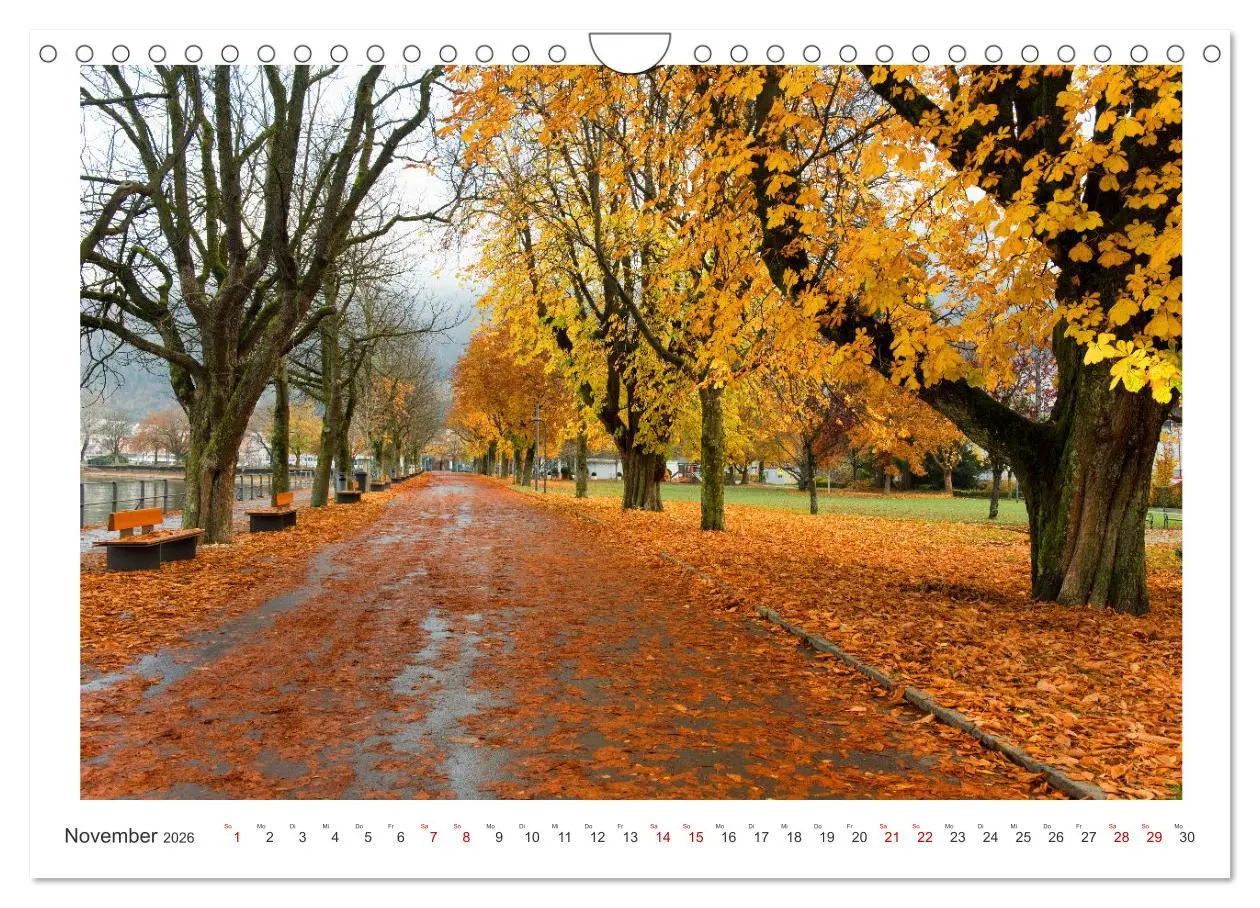 Bild: 9783457316238 | Bregenz am Bodensee (Wandkalender 2026 DIN A4 quer), CALVENDO...