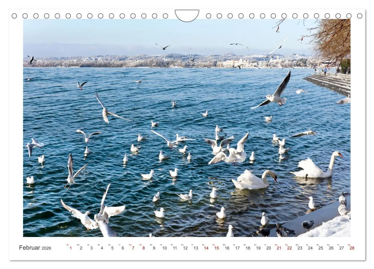 Bild: 9783457316238 | Bregenz am Bodensee (Wandkalender 2026 DIN A4 quer), CALVENDO...