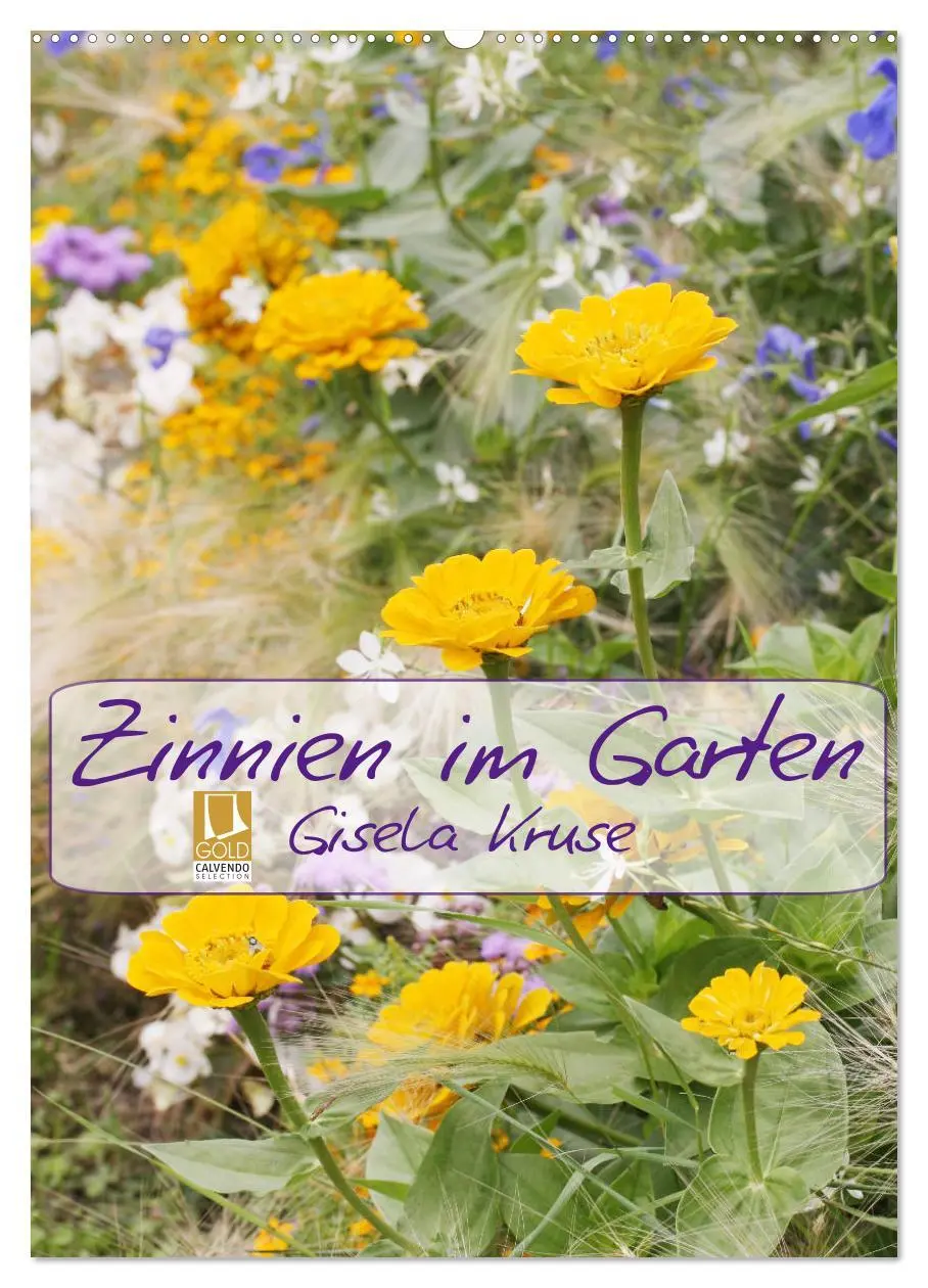 Cover: 9783516406238 | Zinnien im Garten (Wandkalender 2026 DIN A2 hoch), CALVENDO...