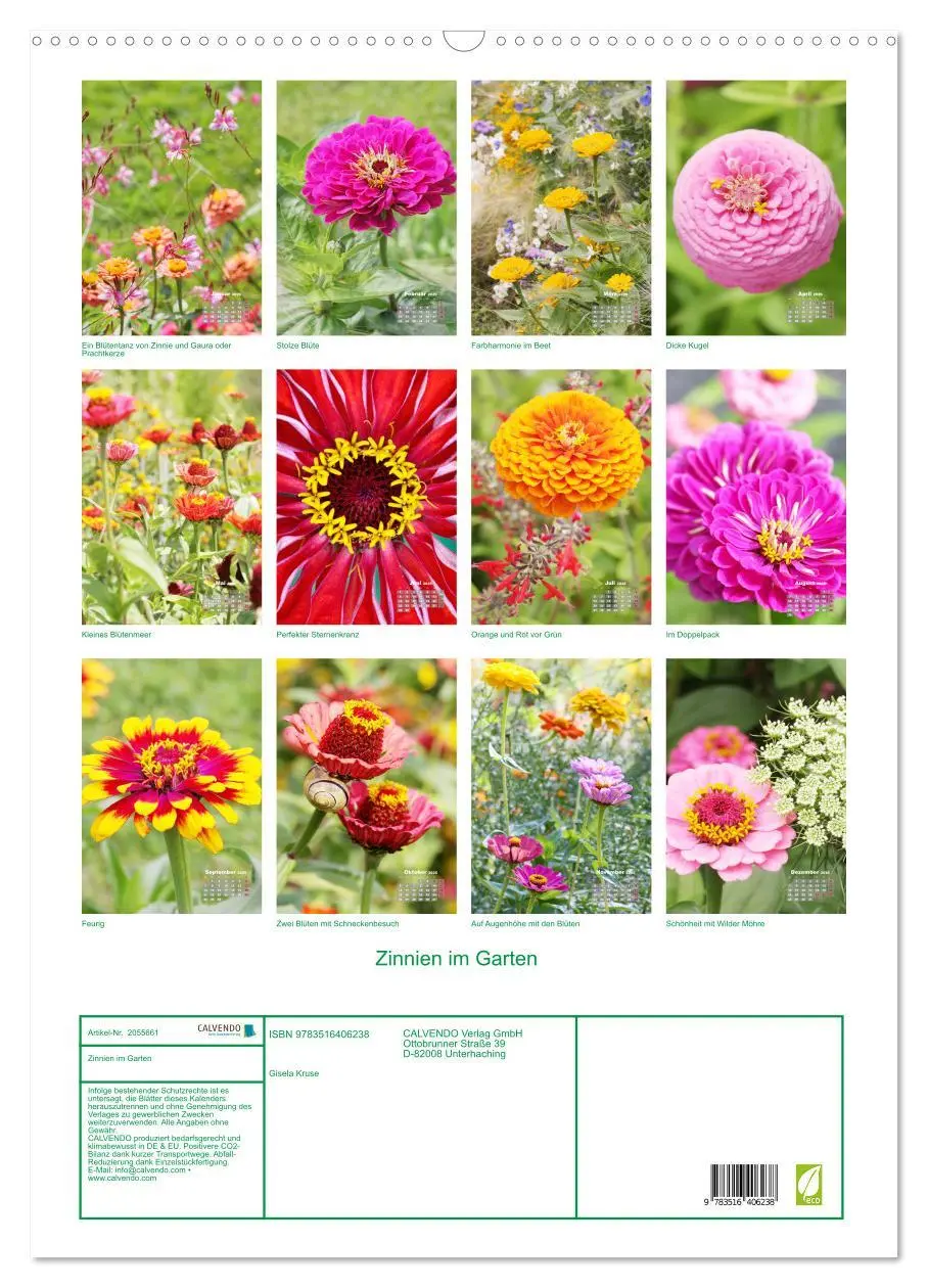 Bild: 9783516406238 | Zinnien im Garten (Wandkalender 2026 DIN A2 hoch), CALVENDO...