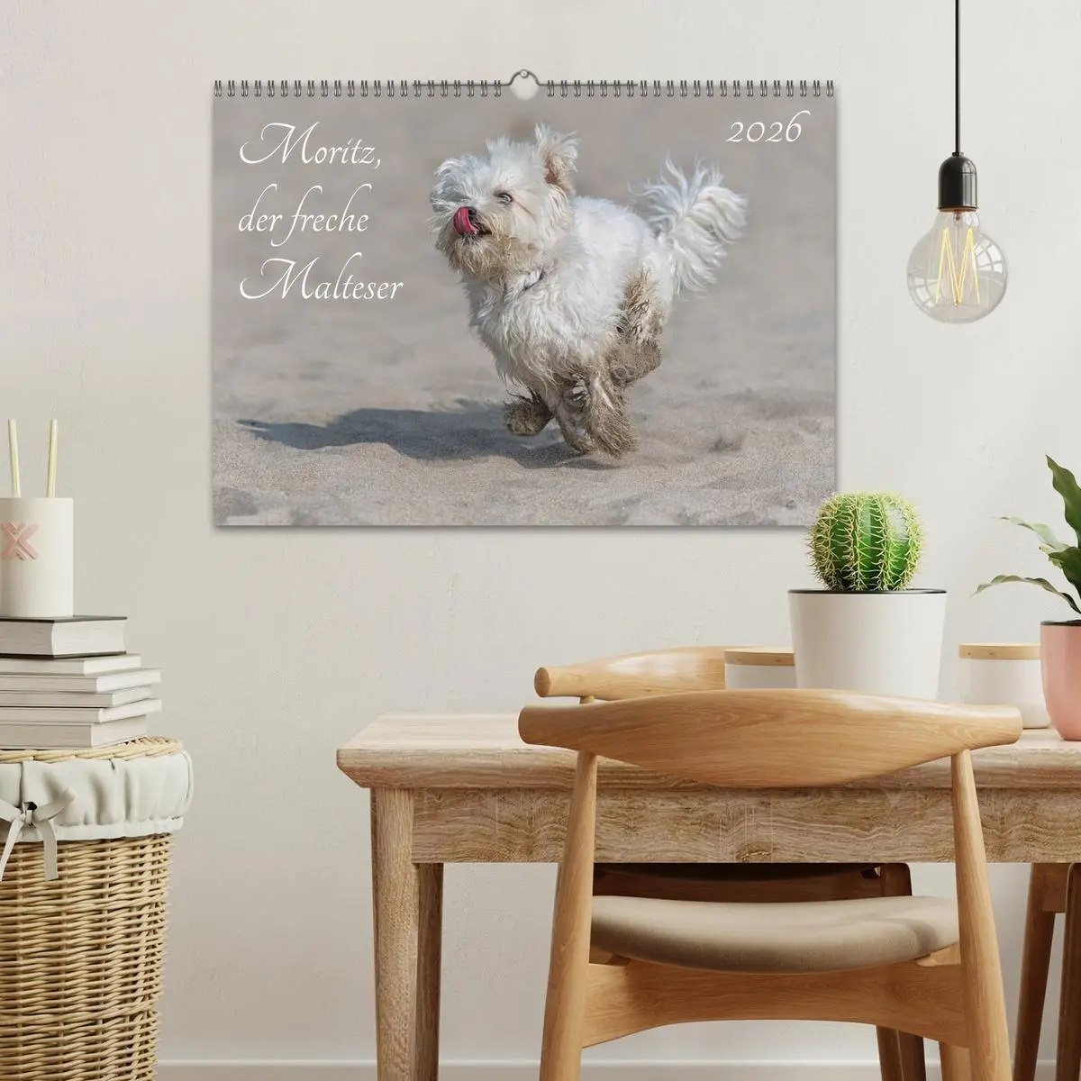 Bild: 9783457926338 | Moritz, der freche Malteser (Wandkalender 2026 DIN A3 quer),...