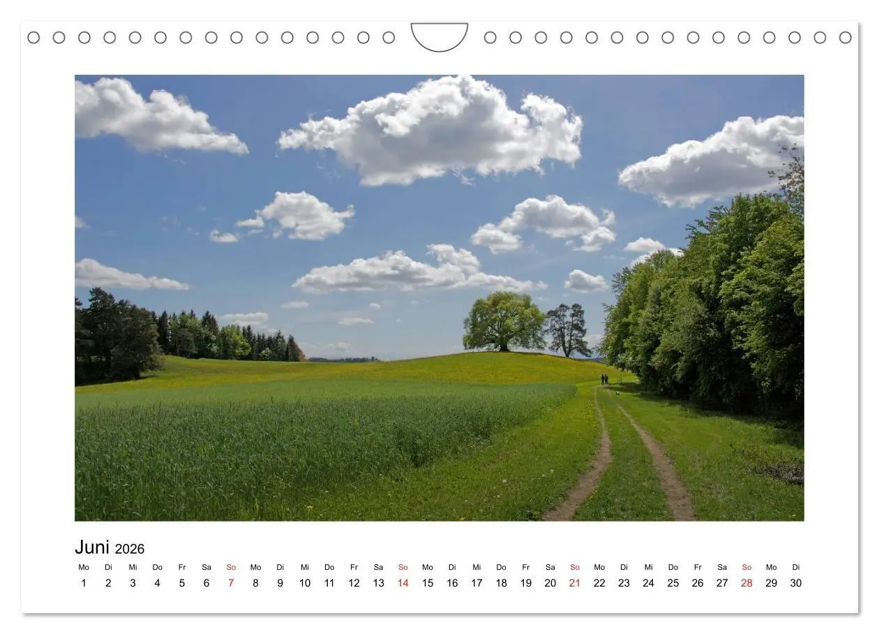 Bild: 9783516016338 | Weingarten und Umgebung 2026 (Wandkalender 2026 DIN A4 quer),...