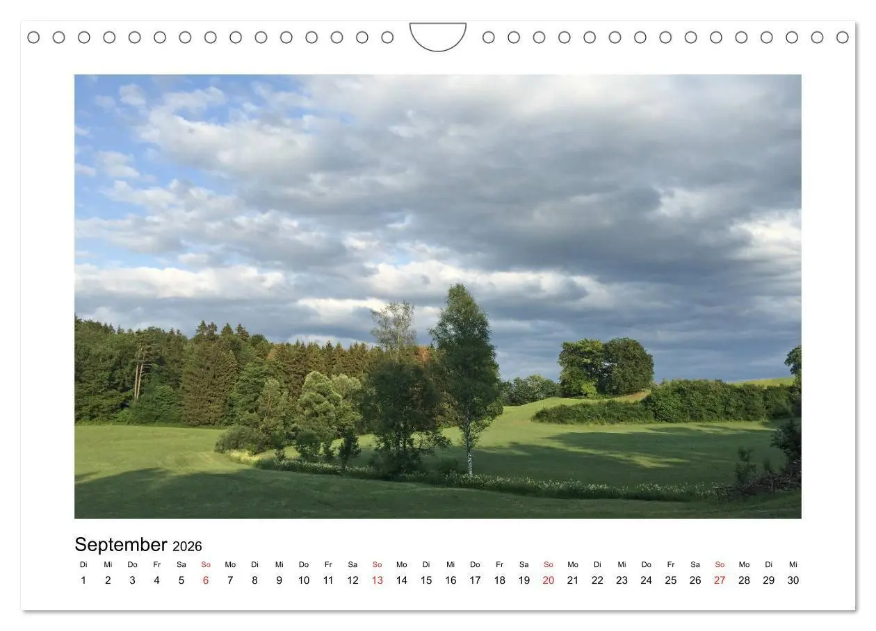Bild: 9783516016338 | Weingarten und Umgebung 2026 (Wandkalender 2026 DIN A4 quer),...