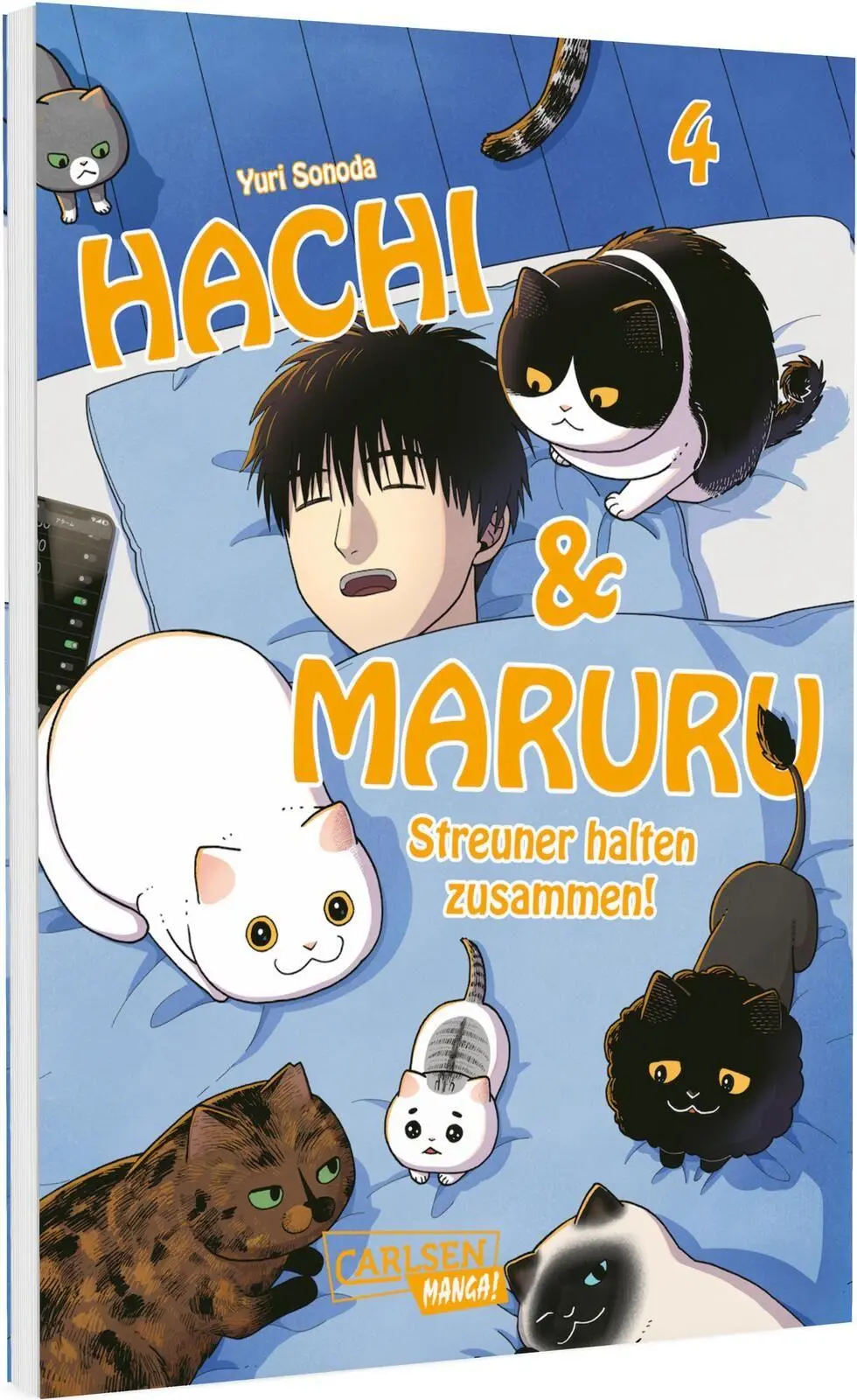 Cover: 9783551806338 | Hachi &amp; Maruru - Streuner halten zusammen! 4 | Yuri Sonoda | Buch