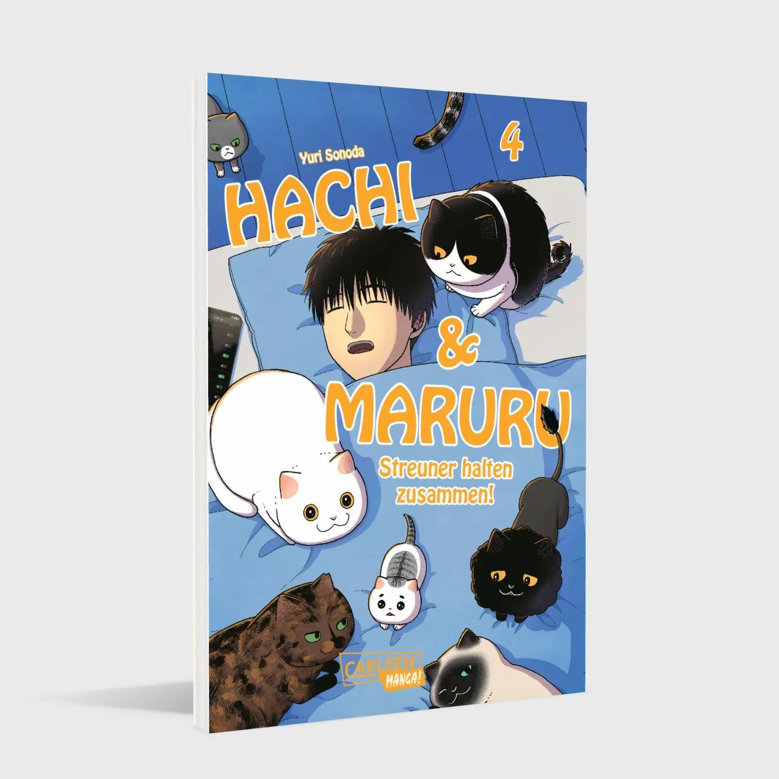 Bild: 9783551806338 | Hachi &amp; Maruru - Streuner halten zusammen! 4 | Yuri Sonoda | Buch