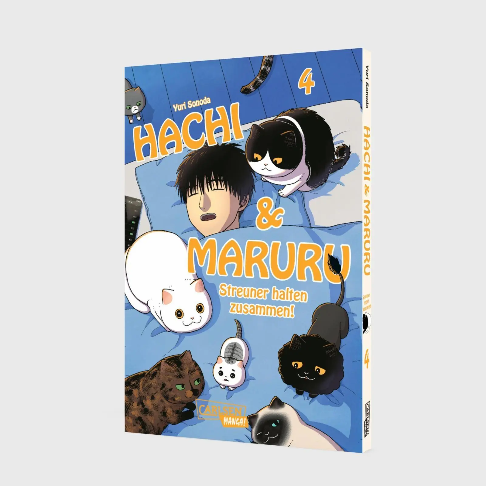 Bild: 9783551806338 | Hachi &amp; Maruru - Streuner halten zusammen! 4 | Yuri Sonoda | Buch