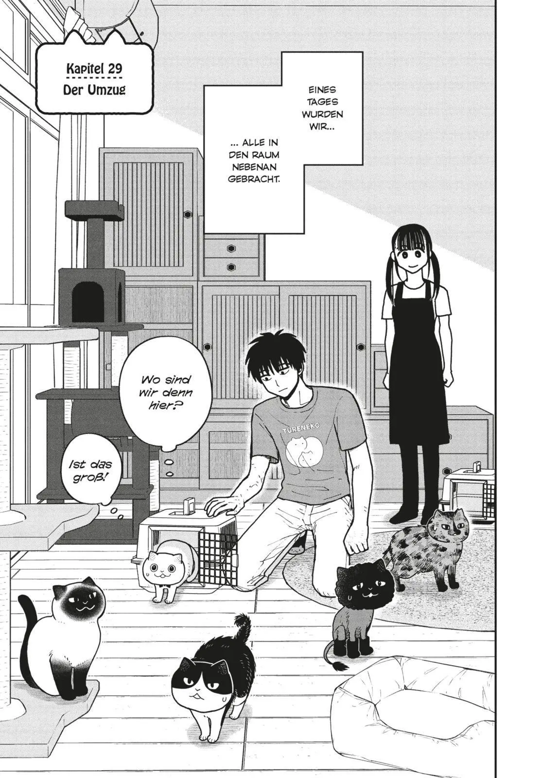 Bild: 9783551806338 | Hachi &amp; Maruru - Streuner halten zusammen! 4 | Yuri Sonoda | Buch