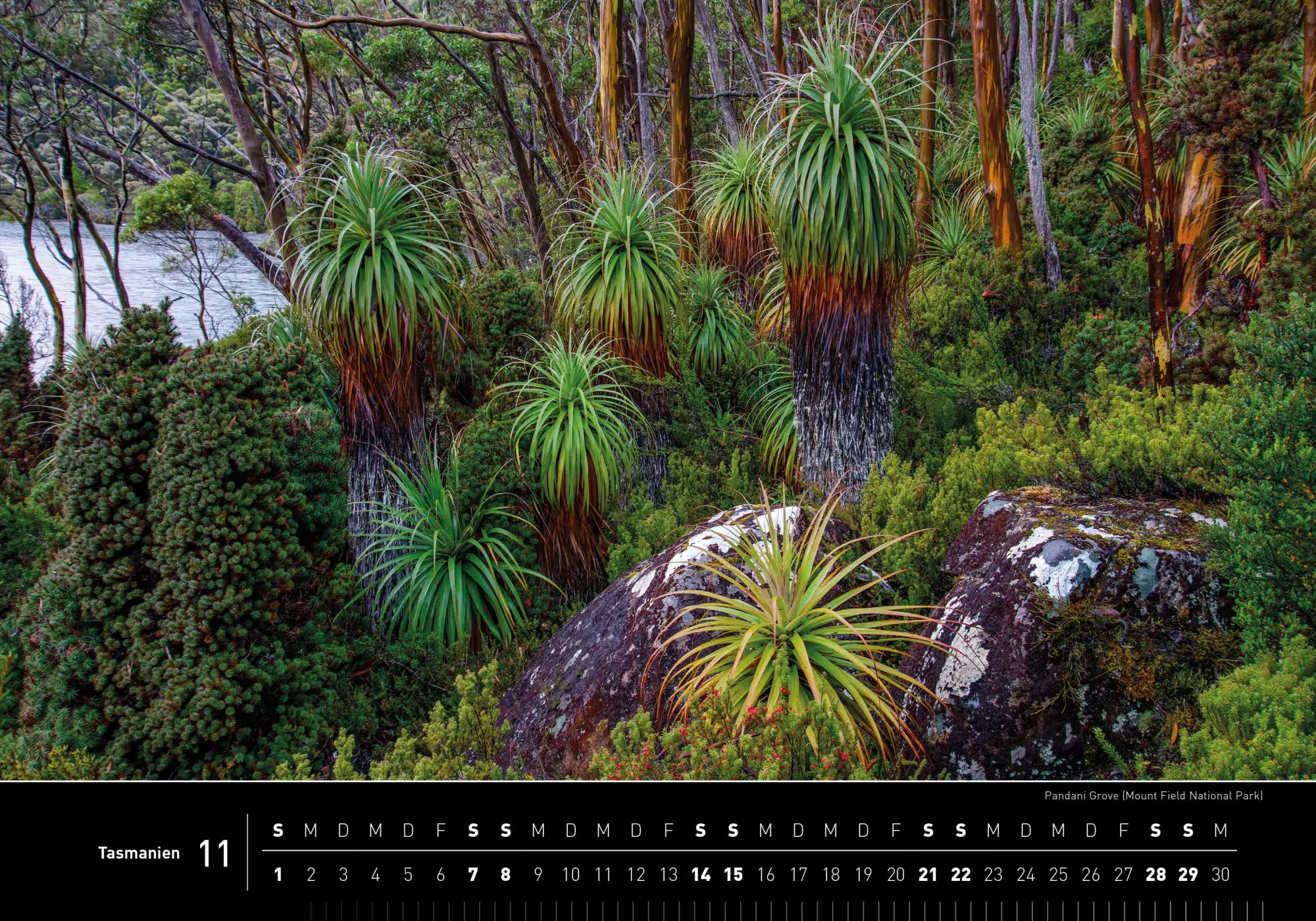 Bild: 9783968556338 | Tasmanien Premiumkalender 2026 | Christian Heeb | Kalender | 14 S.