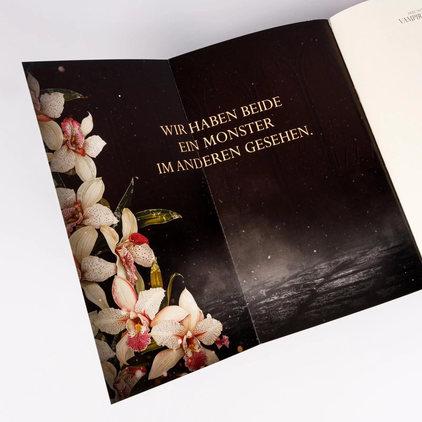 Bild: 9783551586438 | Married into Magic: Duel with the Vampire Lord | Elise Kova | Buch