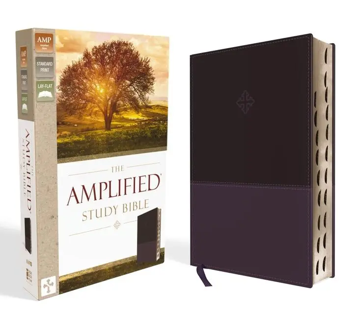 Cover: 9780310446538 | Amplified Study Bible, Imitation Leather, Purple, Indexed | Zondervan