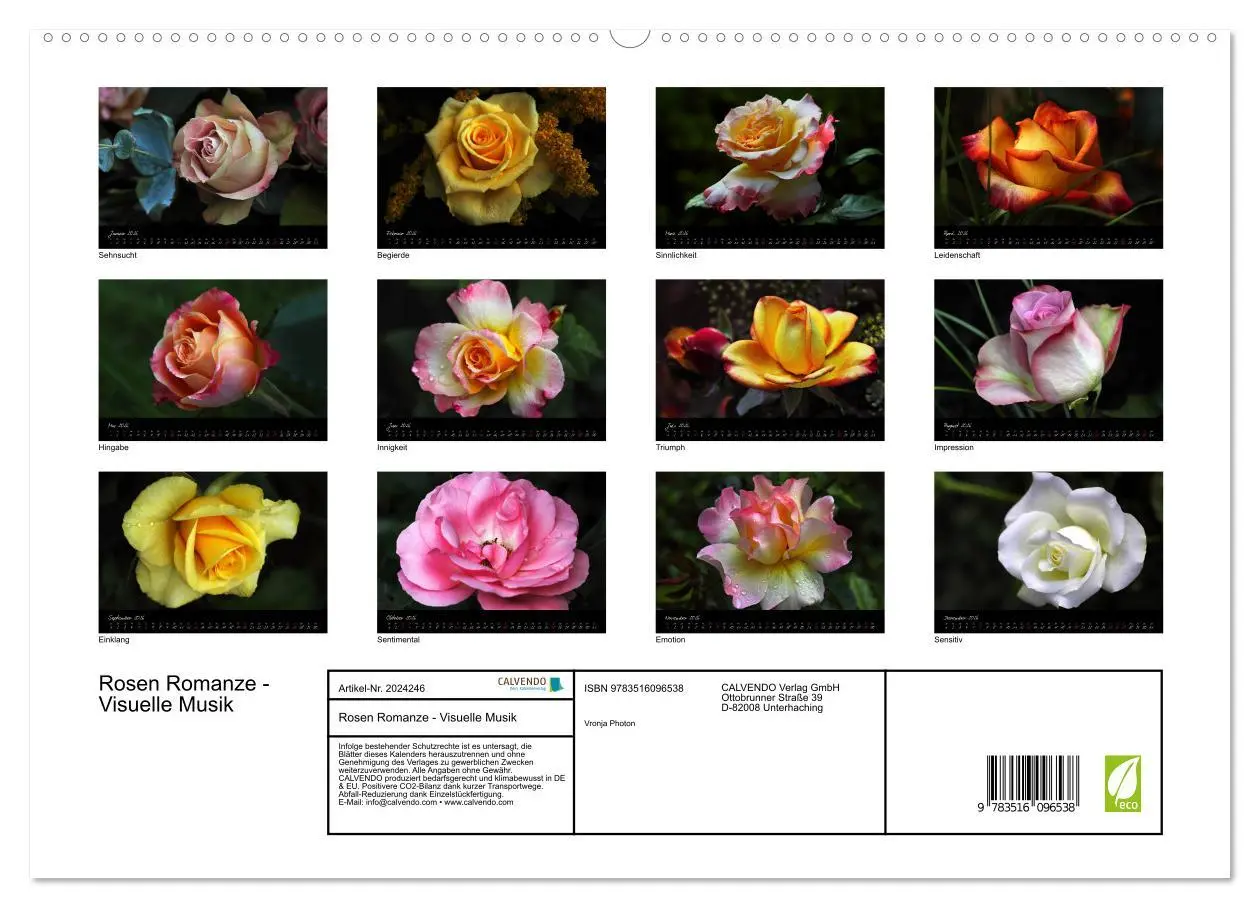 Bild: 9783516096538 | Rosen Romanze - Visuelle Musik (hochwertiger Premium Wandkalender...