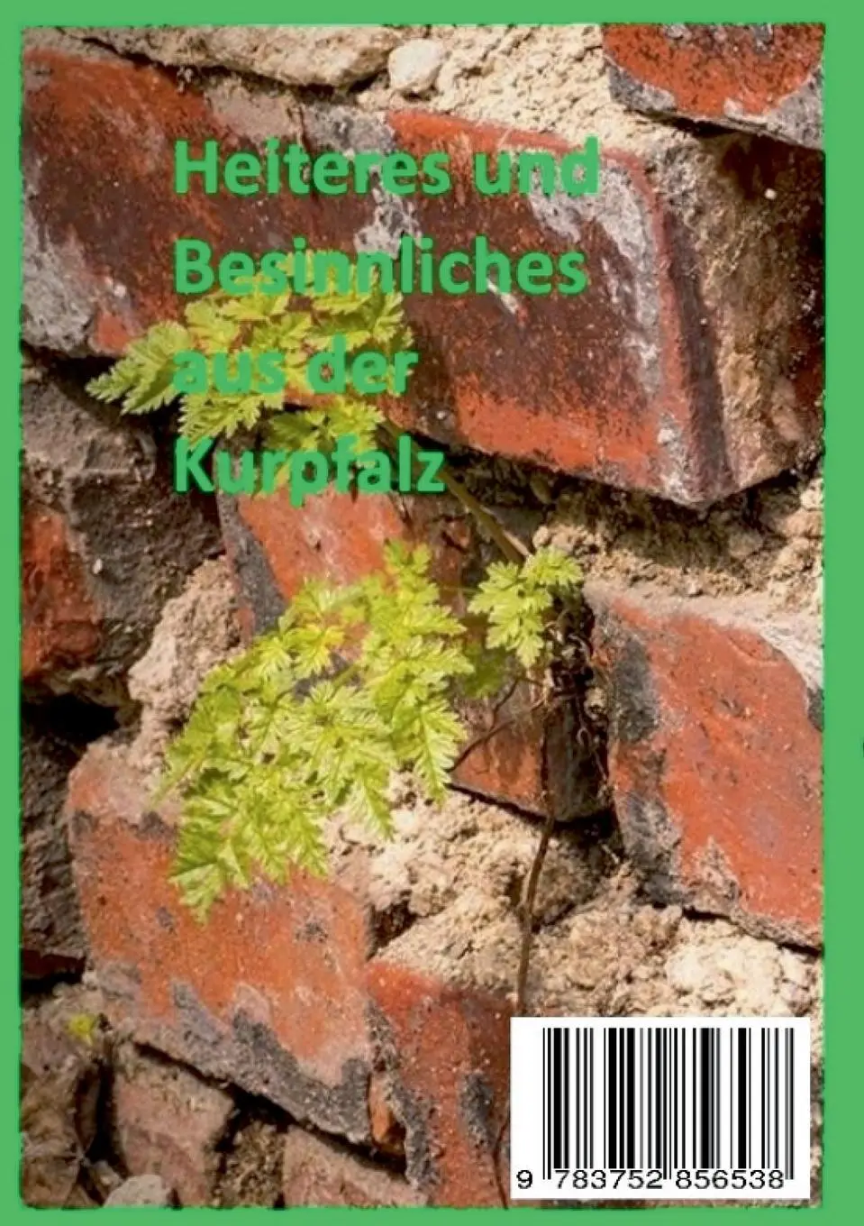 Rückseite: 9783752856538 | Alicia´s Hinterhofgeschichten | Alicia Makatsch | Taschenbuch | 244 S.