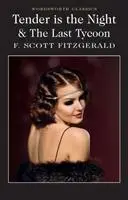 Cover: 9781840226638 | Tender is the Night / The Last Tycoon | F. Scott Fitzgerald | Buch