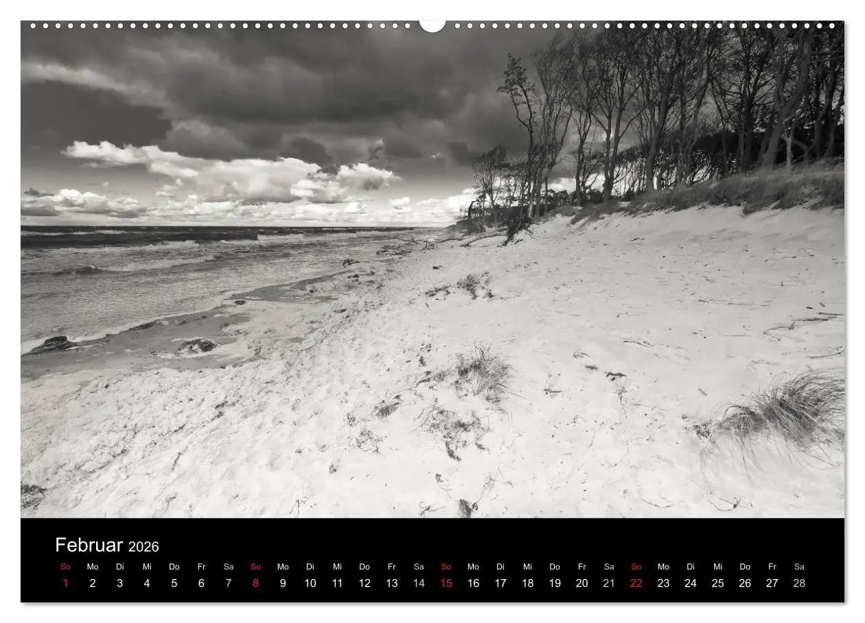 Bild: 9783516086638 | Strandspaziergang an der Ostsee (Wandkalender 2026 DIN A2 quer),...