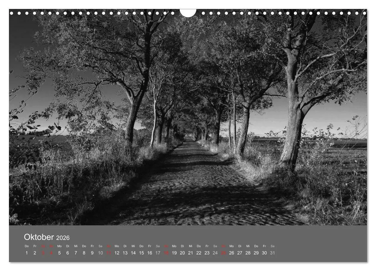 Bild: 9783516226638 | Ostsee - von schwarz bis weiß (Wandkalender 2026 DIN A3 quer),...