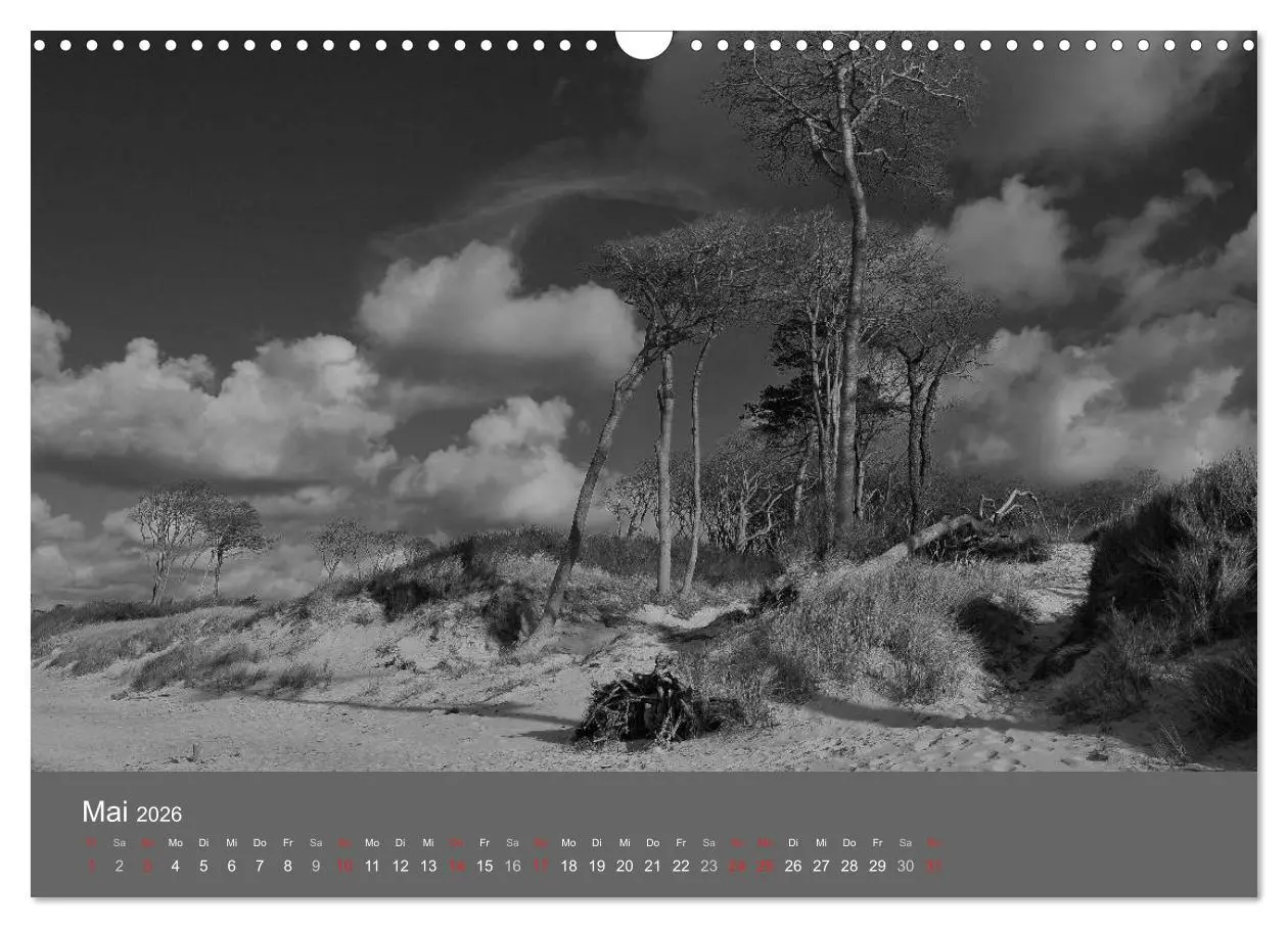 Bild: 9783516226638 | Ostsee - von schwarz bis weiß (Wandkalender 2026 DIN A3 quer),...
