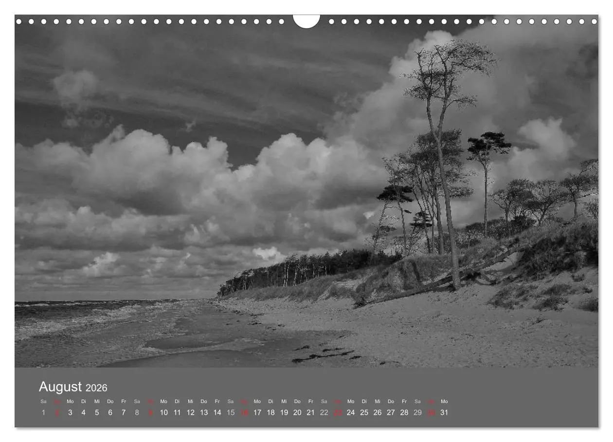 Bild: 9783516226638 | Ostsee - von schwarz bis weiß (Wandkalender 2026 DIN A3 quer),...