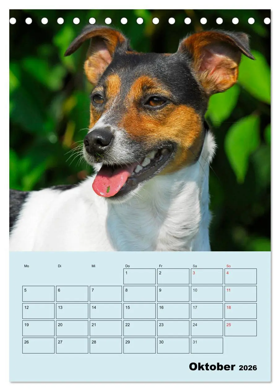 Bild: 9783516386738 | Familienplaner Jack und Parson Russell Terrier (Tischkalender 2026...