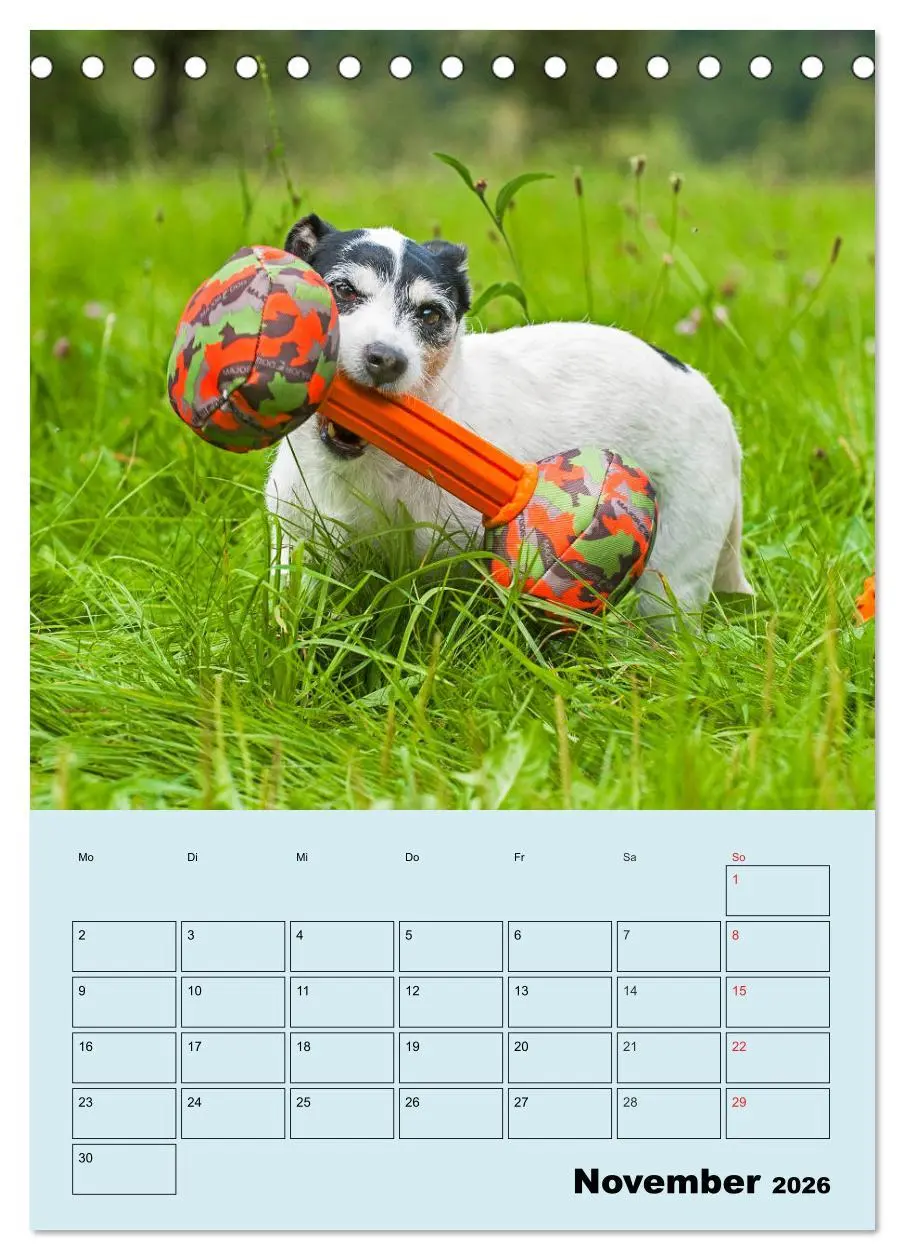 Bild: 9783516386738 | Familienplaner Jack und Parson Russell Terrier (Tischkalender 2026...