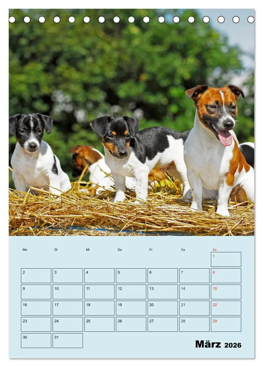 Bild: 9783516386738 | Familienplaner Jack und Parson Russell Terrier (Tischkalender 2026...