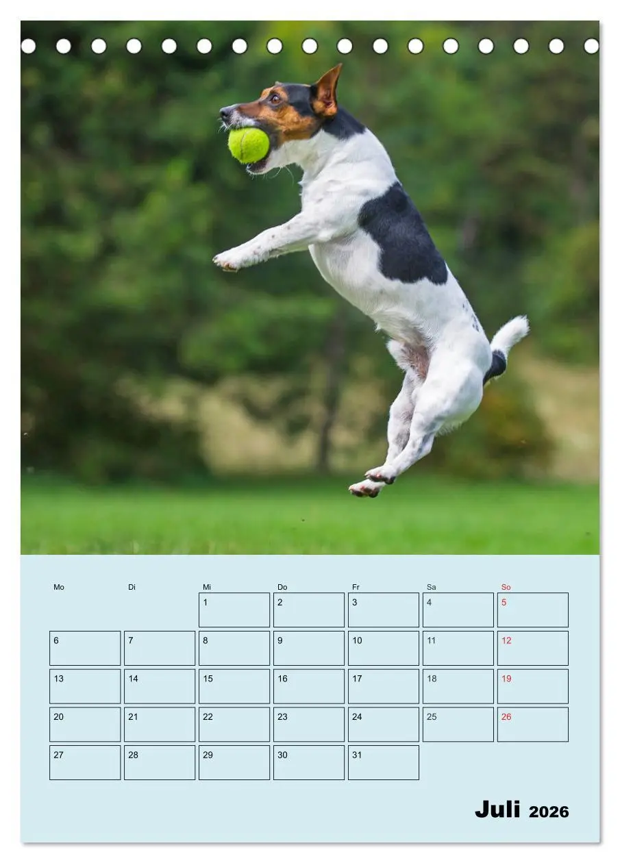 Bild: 9783516386738 | Familienplaner Jack und Parson Russell Terrier (Tischkalender 2026...