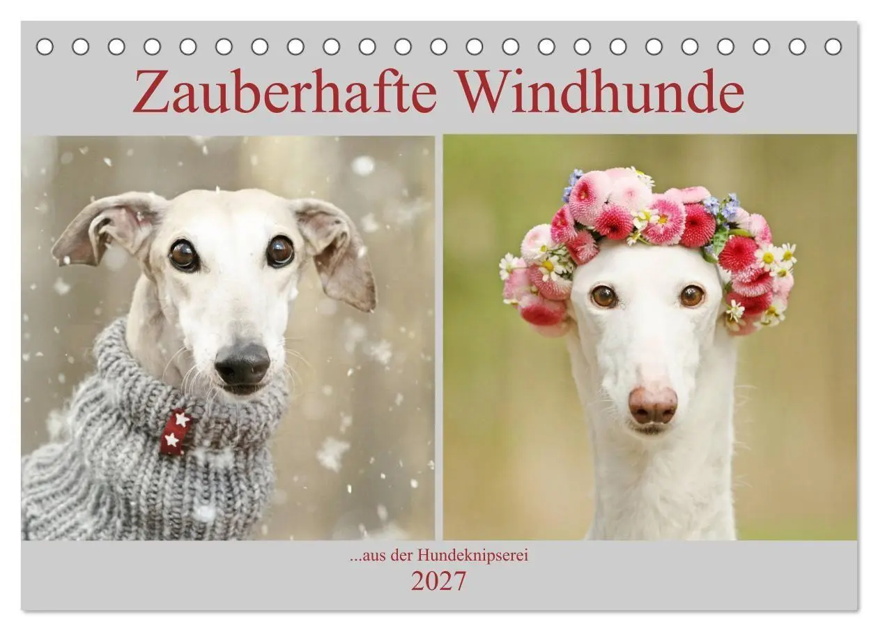 Cover: 9783569856738 | Zauberhafte Windhunde (Tischkalender 2027 DIN A5 quer), CALVENDO...