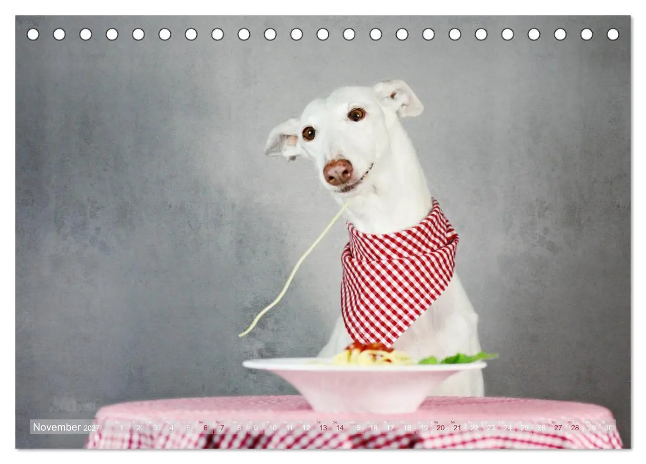 Bild: 9783569856738 | Zauberhafte Windhunde (Tischkalender 2027 DIN A5 quer), CALVENDO...