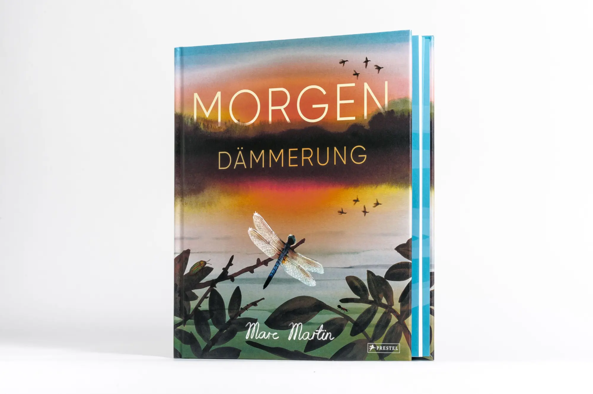 Bild: 9783791376738 | Morgendämmerung | Ein poetisches Bilderbuch von 4 bis 99 Jahren | Buch