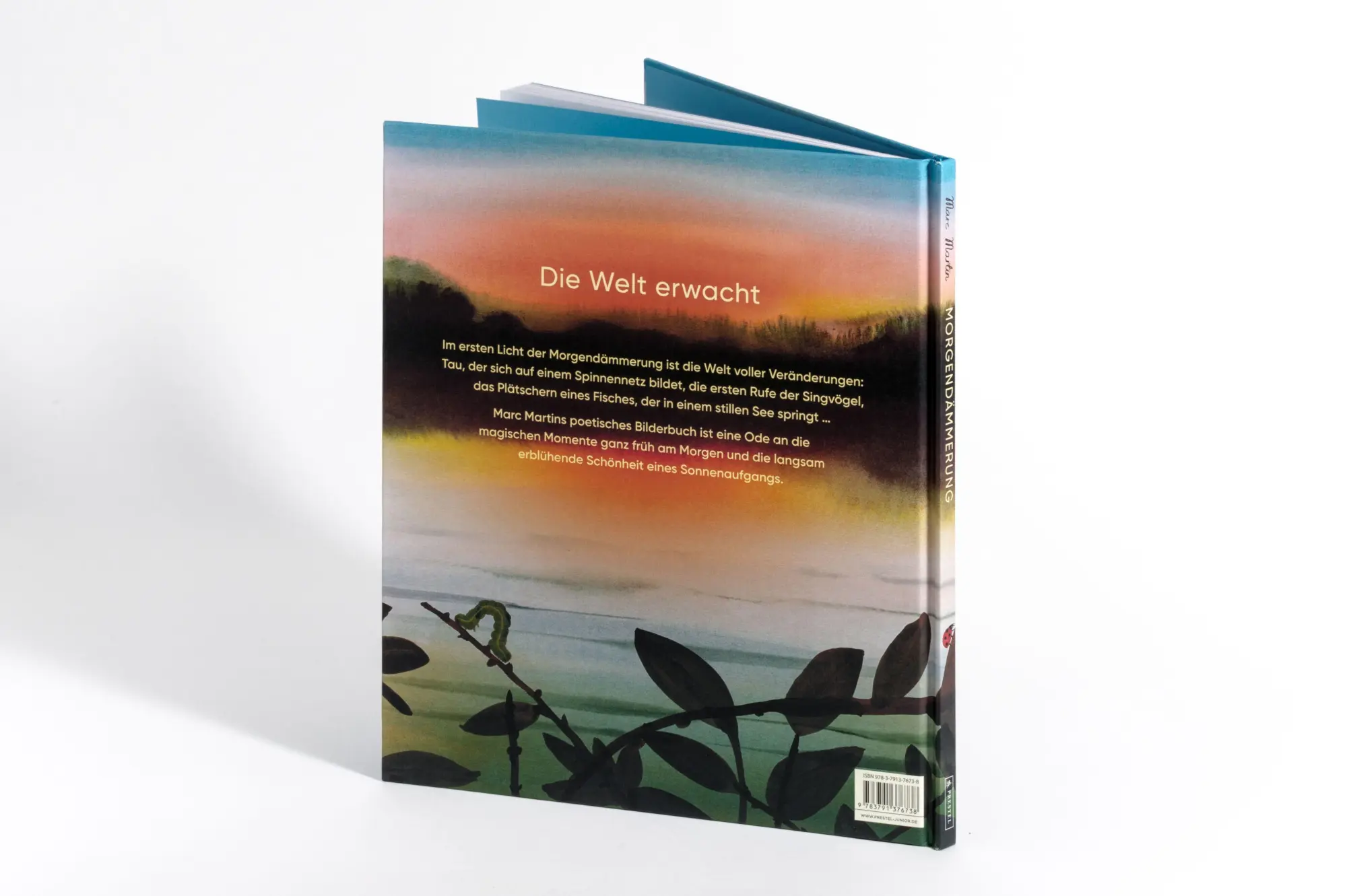 Bild: 9783791376738 | Morgendämmerung | Ein poetisches Bilderbuch von 4 bis 99 Jahren | Buch