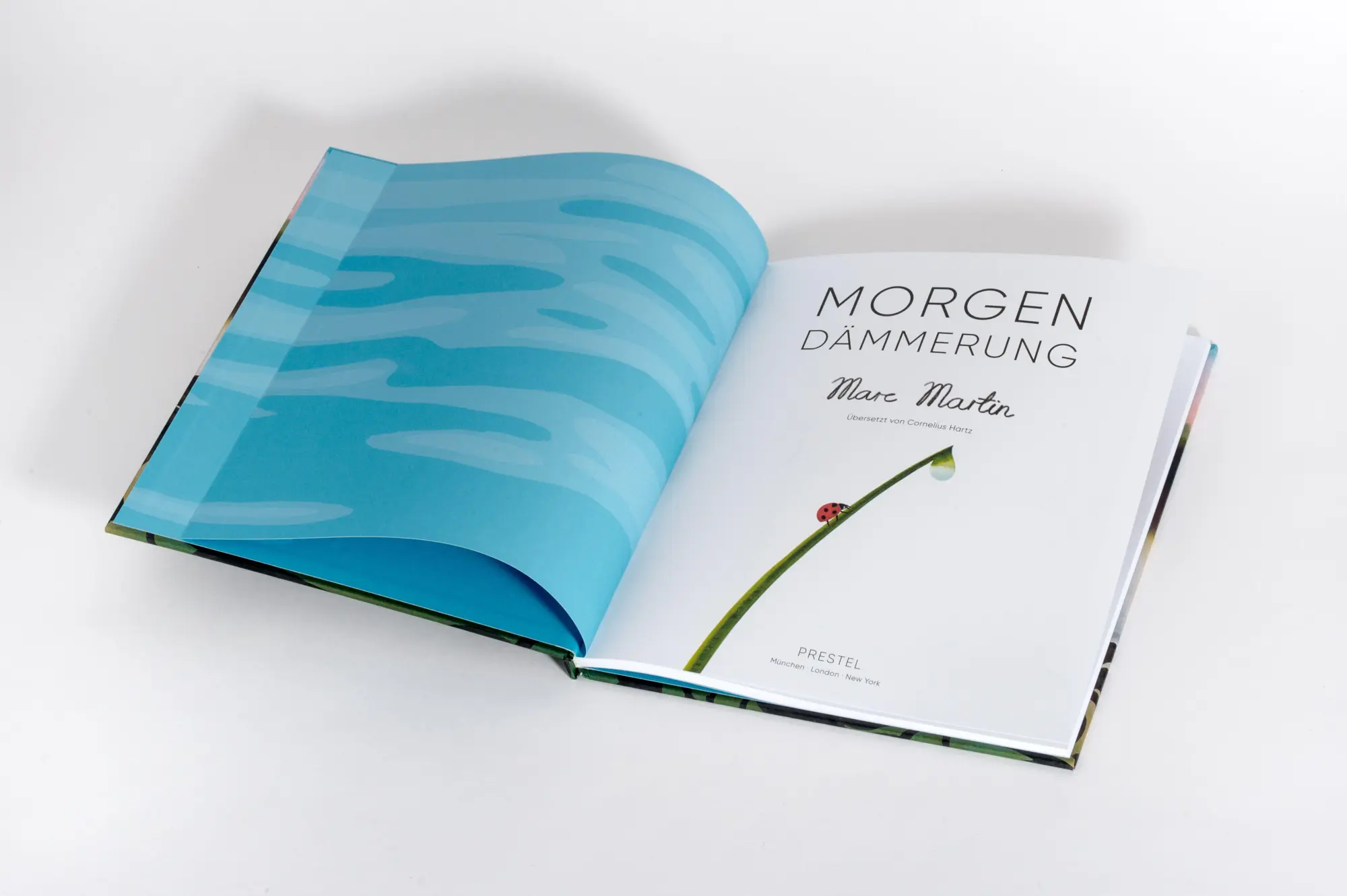 Bild: 9783791376738 | Morgendämmerung | Ein poetisches Bilderbuch von 4 bis 99 Jahren | Buch