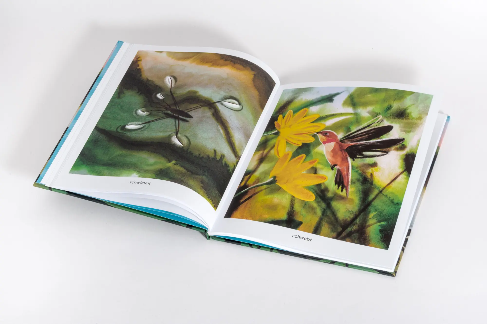 Bild: 9783791376738 | Morgendämmerung | Ein poetisches Bilderbuch von 4 bis 99 Jahren | Buch