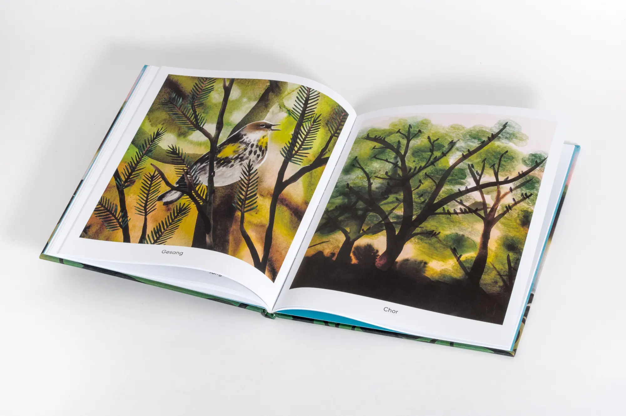 Bild: 9783791376738 | Morgendämmerung | Ein poetisches Bilderbuch von 4 bis 99 Jahren | Buch