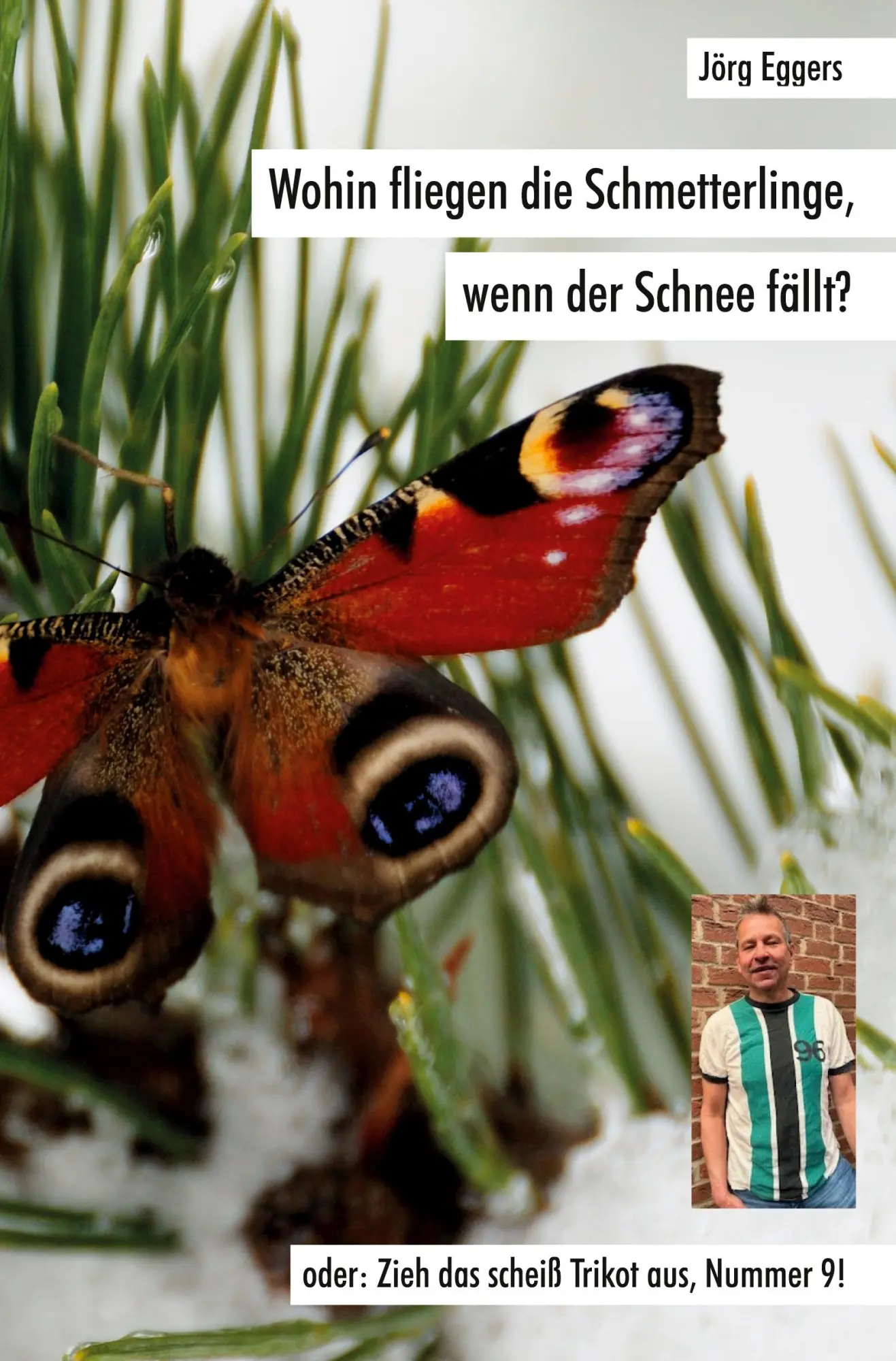 Cover: 9783985276738 | Wohin fliegen die Schmetterlinge, wenn der Schnee fällt? | Jörg Eggers