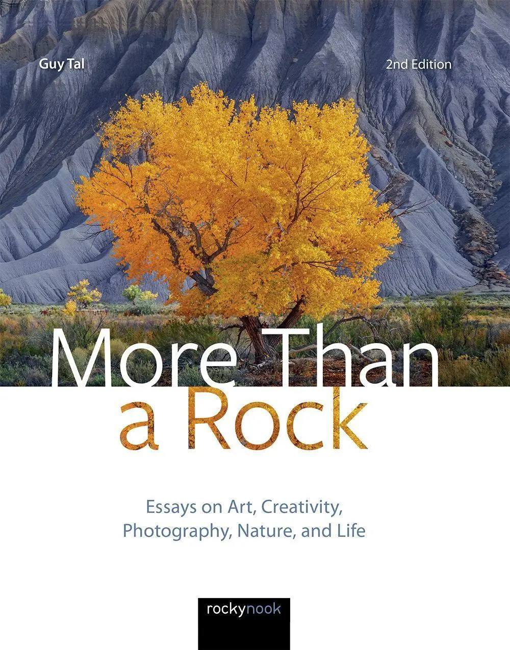 Cover: 9781681986838 | More Than a Rock, 2nd Edition | Guy Tal | Buch | Gebunden | Englisch