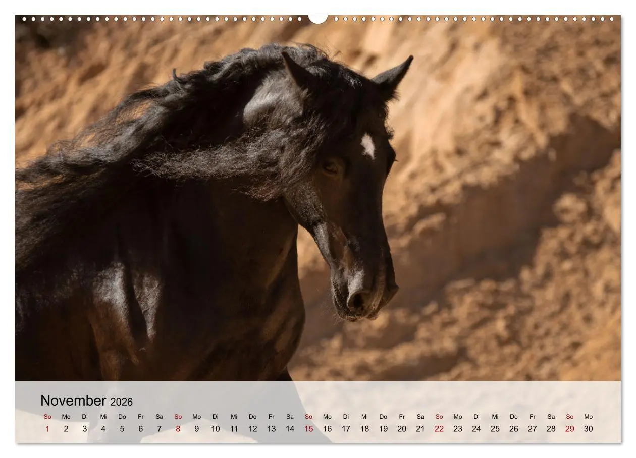 Bild: 9783457666838 | Pferde 2026 Kraft und Anmut (Wandkalender 2026 DIN A2 quer),...