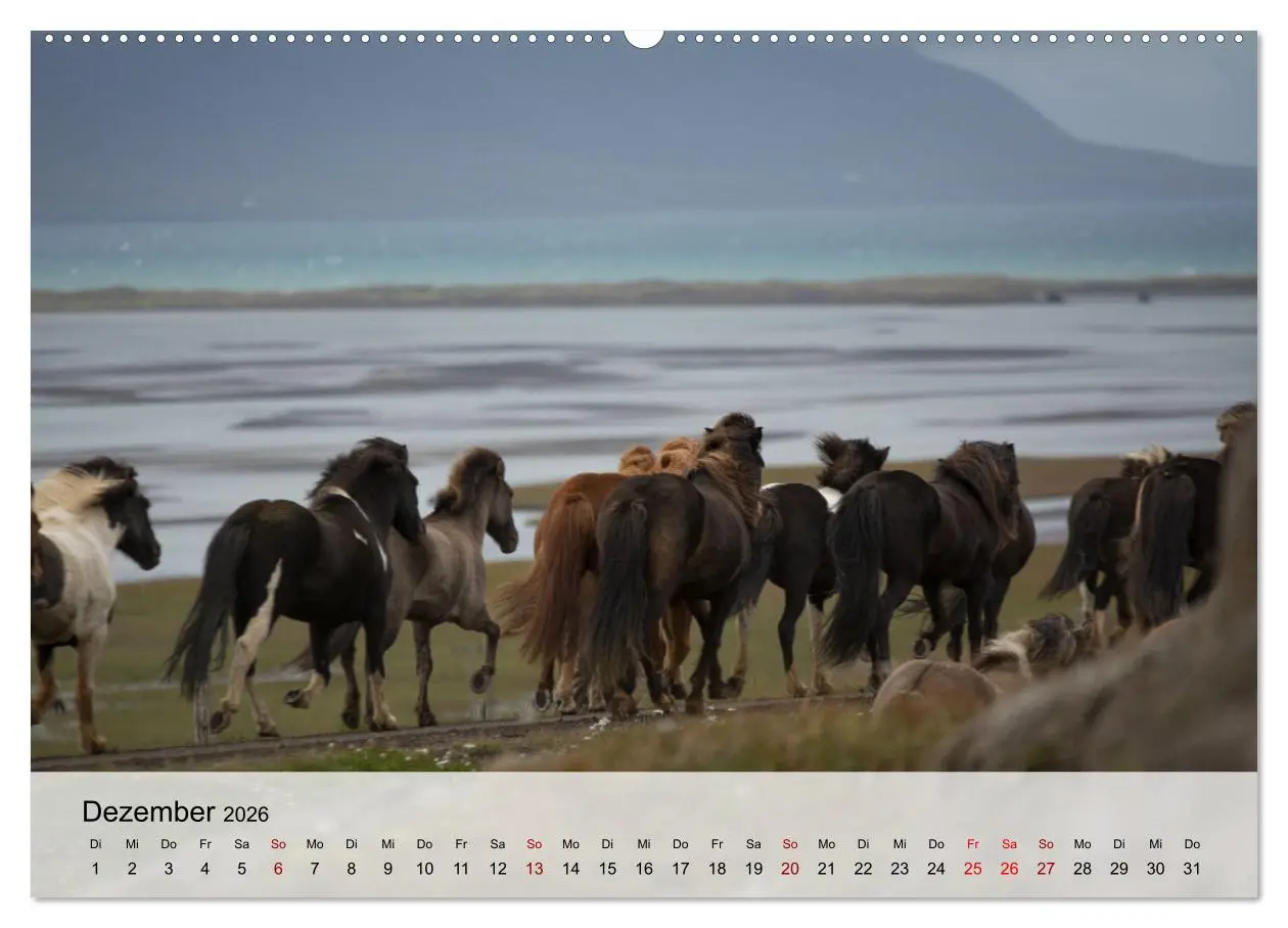 Bild: 9783457666838 | Pferde 2026 Kraft und Anmut (Wandkalender 2026 DIN A2 quer),...