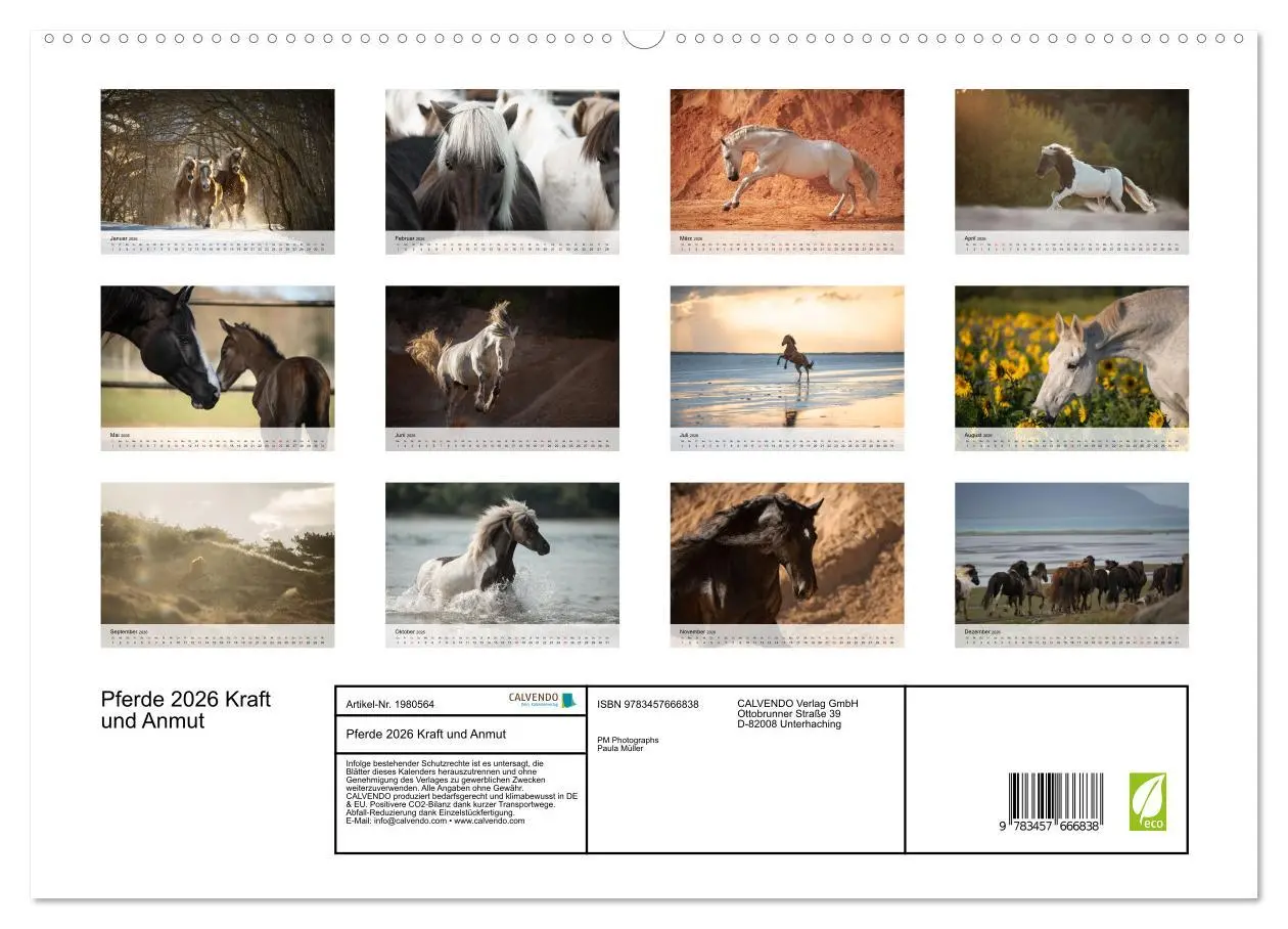 Bild: 9783457666838 | Pferde 2026 Kraft und Anmut (Wandkalender 2026 DIN A2 quer),...
