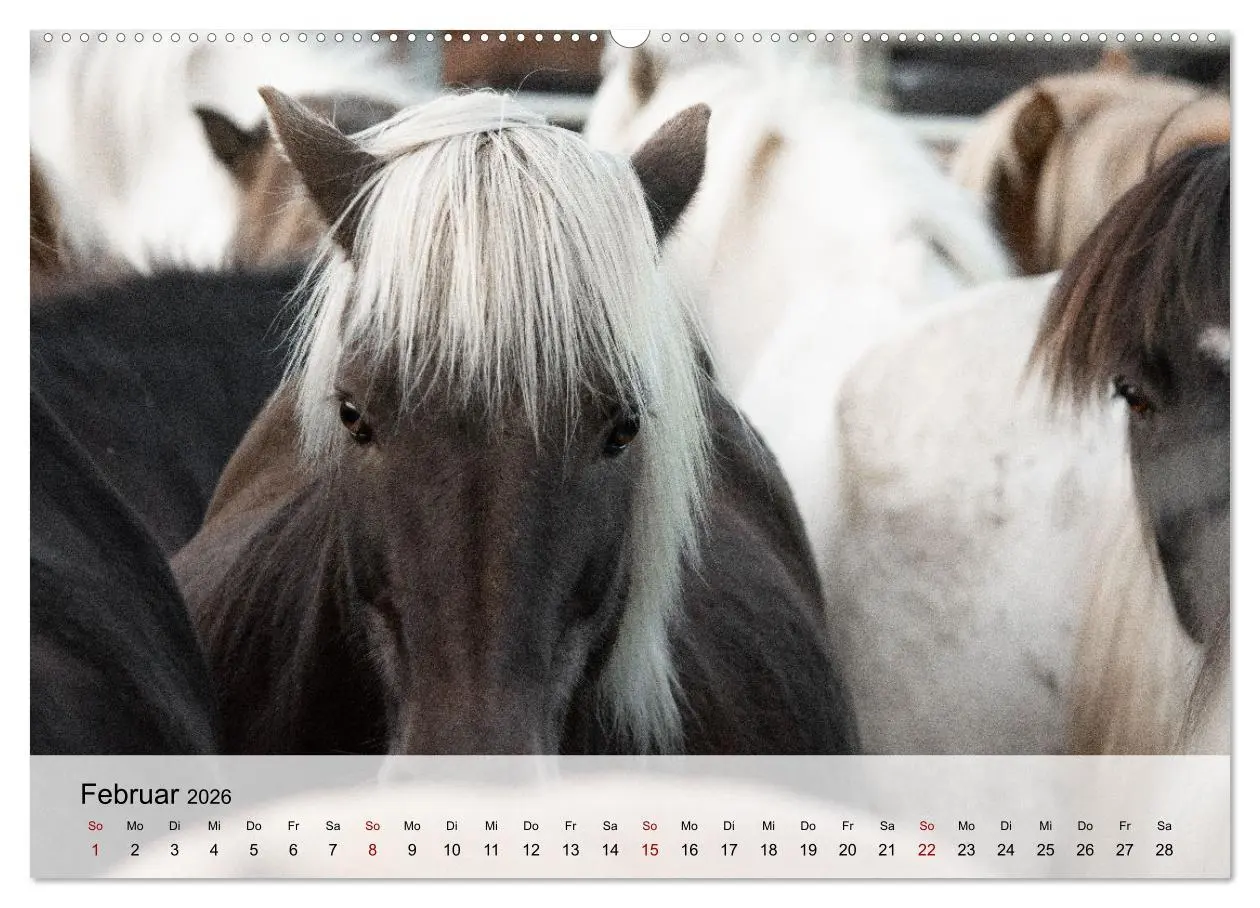 Bild: 9783457666838 | Pferde 2026 Kraft und Anmut (Wandkalender 2026 DIN A2 quer),...