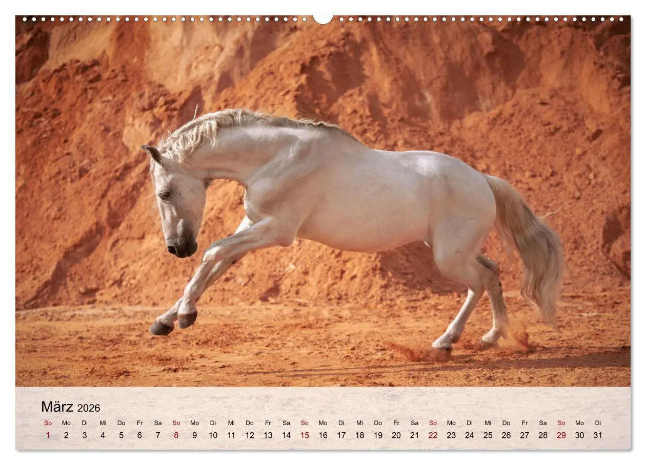 Bild: 9783457666838 | Pferde 2026 Kraft und Anmut (Wandkalender 2026 DIN A2 quer),...