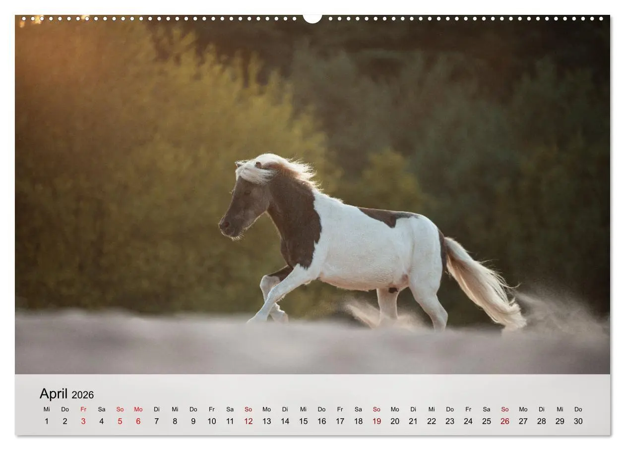 Bild: 9783457666838 | Pferde 2026 Kraft und Anmut (Wandkalender 2026 DIN A2 quer),...