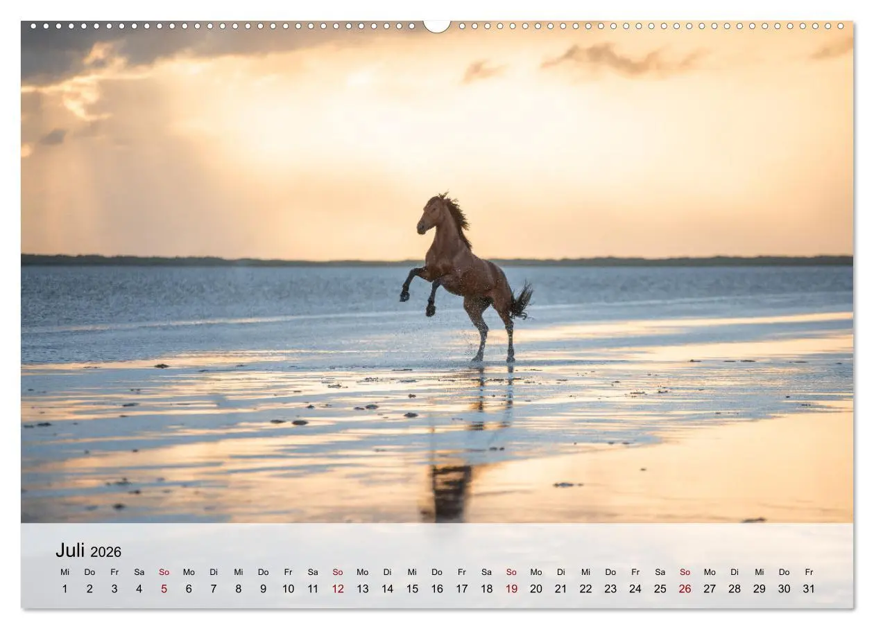 Bild: 9783457666838 | Pferde 2026 Kraft und Anmut (Wandkalender 2026 DIN A2 quer),...